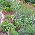 Gardening: good for the environment, your wellbeing and your outdoor area