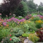 How to create easy-care garden beds and borders