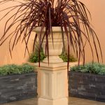 Gardening in spring: pot plants