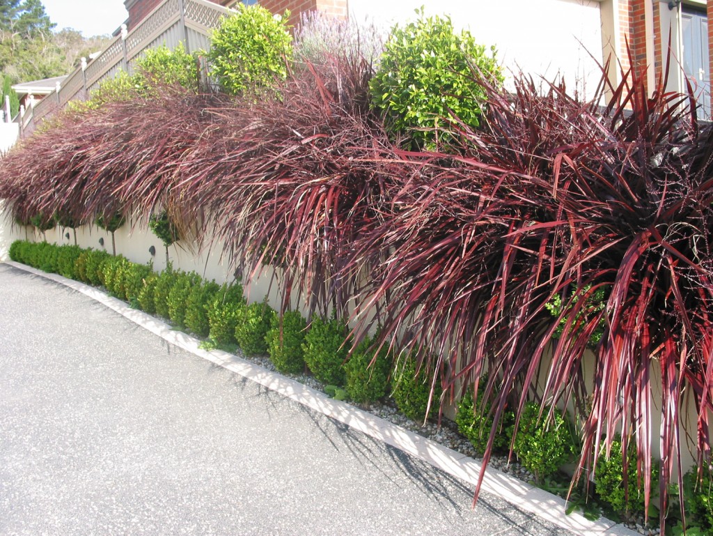 Red Fountain Rowville 4 (2)