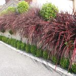 Red Fountain Rowville 4 (2)