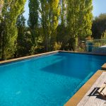 An eye-catching pool design that is user-friendly and low maintenance.