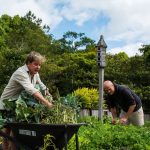 Grand Designs Australia: From Gaia with love