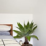 150220_PADDINGTON_HOUSE_56082