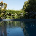 PSS024_Good Manors Landscaping_L1030164