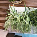 PSS023_Good Manors pool+garden_Secondary2