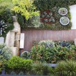 A modern garden design