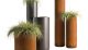 DeCastelli’s Cohiba planters (in five heights) from Homeware Gallery www.hgfs.com.au