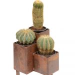 Pipeworks planter (in both small and large sizes) from Entanglements www.entanglements.com.au