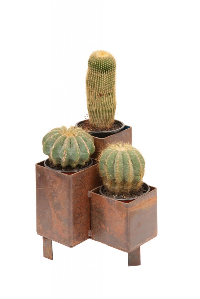 Pipeworks planter (in both small and large sizes) from Entanglements www.entanglements.com.au