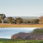 LifeStyleChannel_GDA6_Kuitpo_0064_FXTL_DavidSolm2015