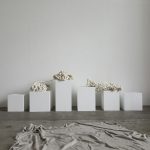 We love... Little Dandelion