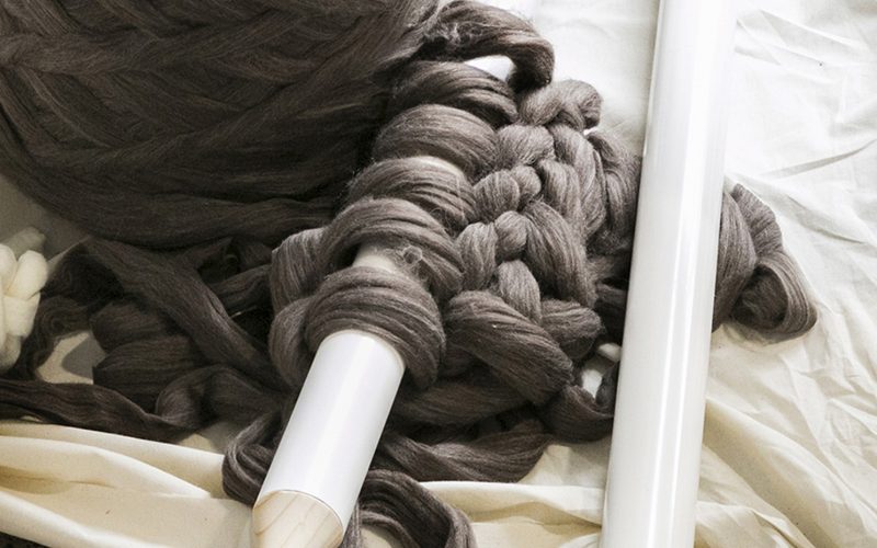 We love... Little Dandelion