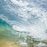 MarkTipple-Frozen  CMYK