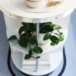 Real kitchen: Old-school curves