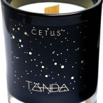Cetus candle from the Constellations Collection, $44, tandamodern.com