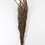 We love... Catriona Pollard