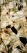 4_Caesarstone_Concetto_8617_Argonite