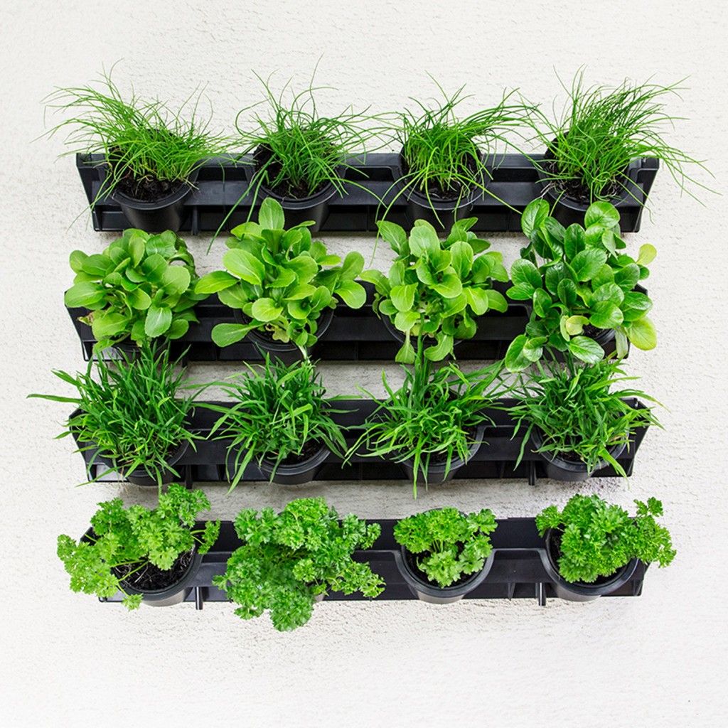 green wall pixel pot