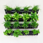 green wall pixel pot