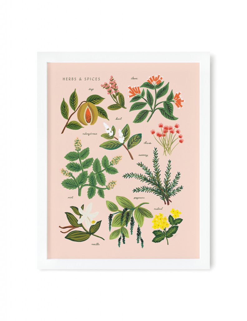 Plants on pink 2