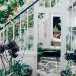 Backyard: Greenhouse