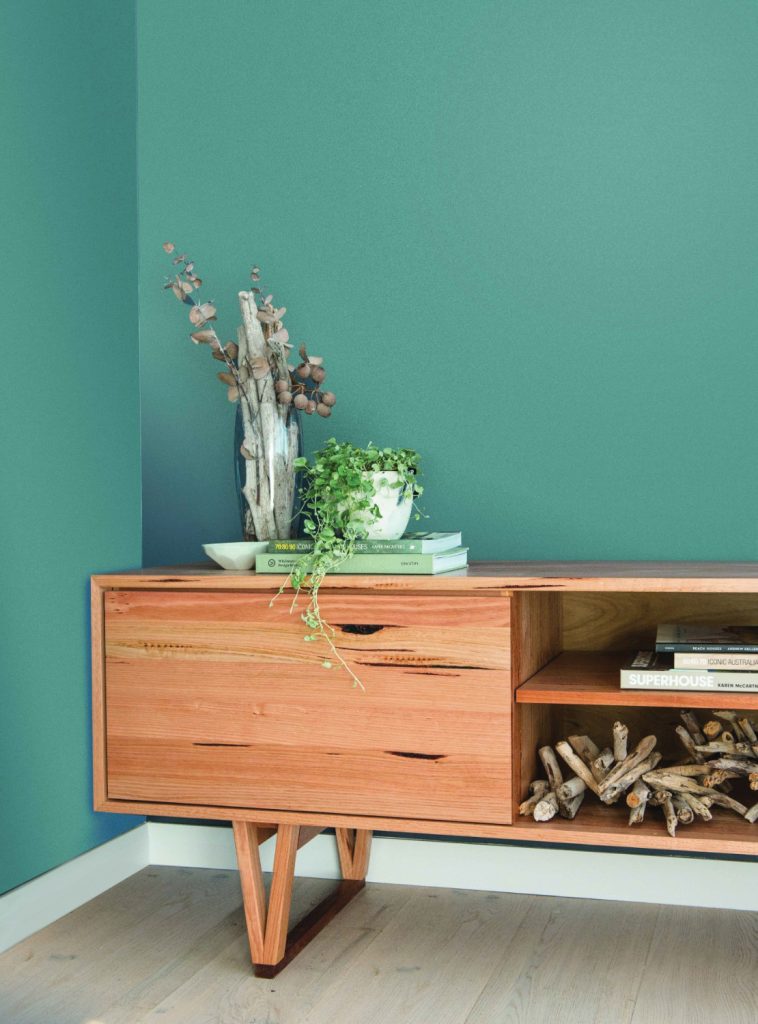 Shaynna Blaze for Taubmans: "Don't take pot luck with your paint colours!" - Dark Horse