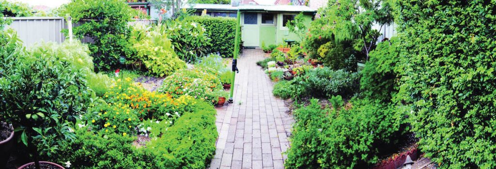 Small but mighty: an experimental garden