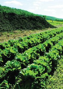 low carbon footprint