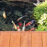 A place for all: tranquil outdoor space