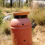 Regrowing the forest: One man's exploration of nature-centric gardening