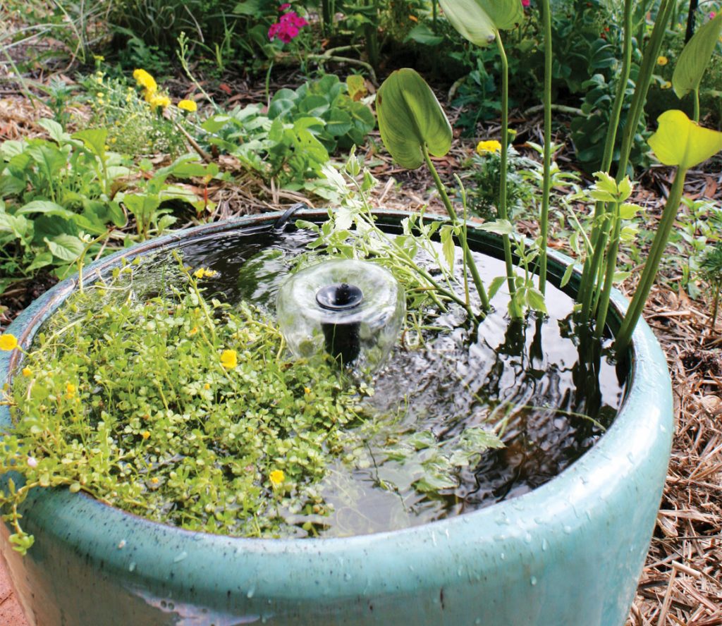 Creating a pretty pond for your garden - Completehome