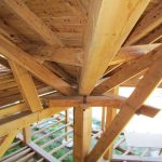 Why build with wood? Inside this unique material
