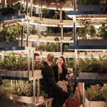 IKEA The Growroom