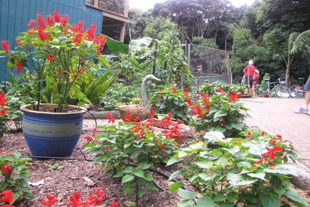 Garden paradise: a Lord Howe Island retreat