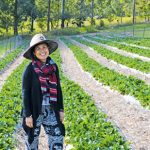 Strawberry fields forever: Pim sings to her strawberries