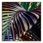 Purple Palm Leaf