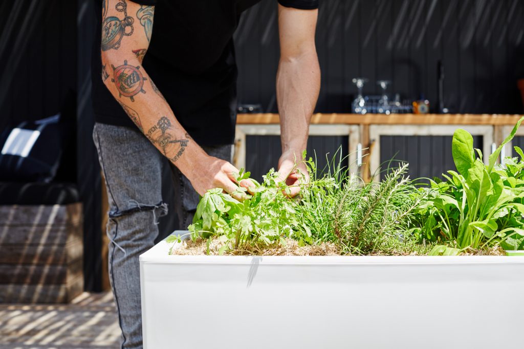 Glowpear Café Planter: more mobile goodness