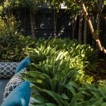 This inner-city Melbourne garden has a new lease on life