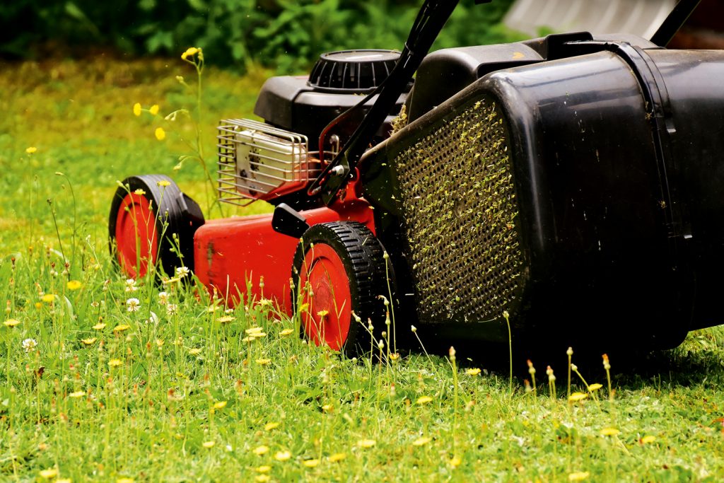 12 simple tasks for a regular garden maintenance routine