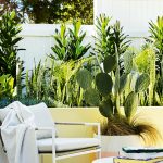 Relaxed chair and outdoor courtyard