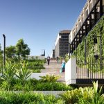 COMMERCIAL LANDSCAPER OF THE YEAR - CBD Landscape Construction, STARS (QLD)