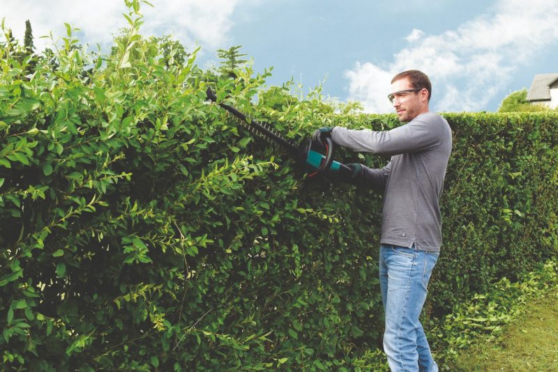 Garden maintenance