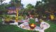 Industrial and Arid Garden