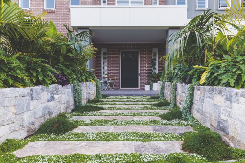Barren front yard