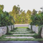 Barren front yard