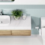 American Standard Signature Toilet
