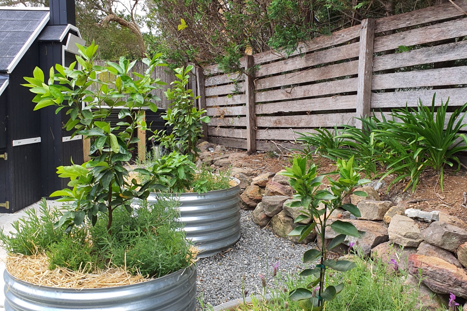 Kingspan Garden Beds The Perfect Green Oasis Completehome