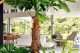 Senja loungers overlook the pool