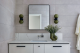 Bathroom vanity with plant